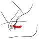 Вибратор B - Series Lyla G Spot, 14.5 см (красный) 47510_EU фото 6