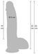 Фаллоимитатор Hidden Desire Realistic Dildo, 23 см (телесный) 65063 фото 4