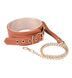 Нашийник з повідцем Blaze Elite Collar and Leash, 103 см (коричневий) 63940 фото 1