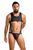 Мужской боди Passion Free Your Senses Adam 056, L/XL (черный) 32110 фото