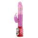 Вибратор-кролик Baile Flirt Rough, 29 см (розовый) 58449 фото 1