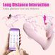 Вібратор B - Series Fox Finger function Heating + APP, 13.8 см (рожевий) 65313_EU фото 3