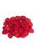 Набір Amour The Passion Love Alluring Anal Kit, 7 шт (червоний) 111476 фото 4