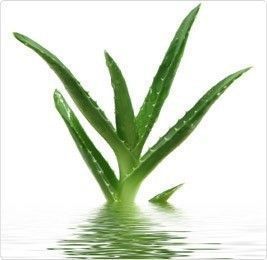 Лубрикант на водній основі Lovely Lovers Aloe Vera Lube, 150 мл 68402 фото