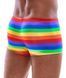 Мужские трусы Svenjoyment Rainbow, S (мульти) 210020 фото 2