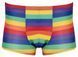 Мужские трусы Svenjoyment Rainbow, S (мульти) 210020 фото 4