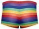 Мужские трусы Svenjoyment Rainbow, S (мульти) 210020 фото 5