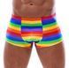 Мужские трусы Svenjoyment Rainbow, S (мульти) 210020 фото 1