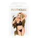 Комплект білизни Penthouse Lingerie Double Spice, M/L (чорний) 21472 фото 3