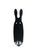 Вібратор для клітора Adrien Lastic Pocket Vibe Rabbit, 8.5 см (чорний) 7668 фото