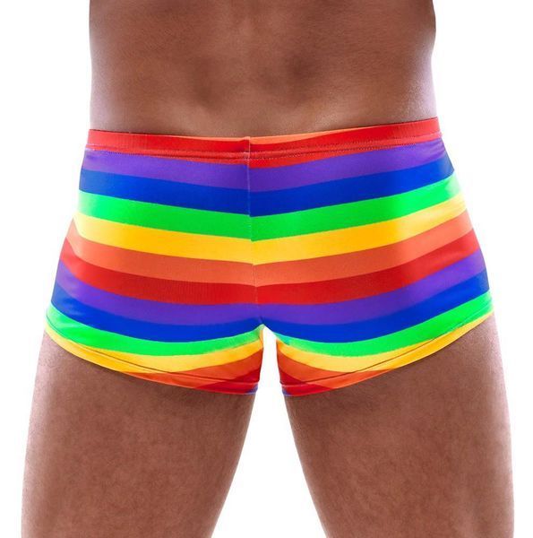 Мужские трусы Svenjoyment Rainbow, XL (мульти) 210020 фото