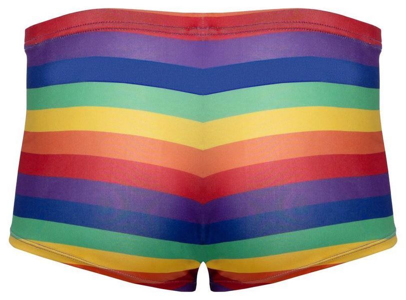 Мужские трусы Svenjoyment Rainbow, XL (мульти) 210020 фото