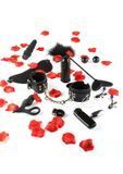 Набір ToyJoy Lovetoy Starter Kit, 10 шт (чорний) 76494 фото