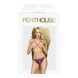 Трусики Penthouse Lingerie Too Hot To Be Real, L/XL (фиолетовый) 28546 фото 2