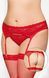 Комплект SoftLine Garterbelt 3305, XL (чорний) 97422 фото