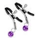 Затискачі для сосків Exclusive Nipple Clamps No.17 (сріблястий) 65381_EU фото 1