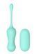 Віброяйце Dream Toys The Candy Shop Sweet Apple, 17,8 см (м'ятний) 22922 фото 4