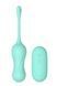 Віброяйце Dream Toys The Candy Shop Sweet Apple, 17,8 см (м'ятний) 22922 фото 2