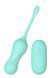 Віброяйце Dream Toys The Candy Shop Sweet Apple, 17,8 см (м'ятний) 22922 фото 1