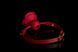 Кляп в форме розы Zalo & Upko Rose Ball Gag Red Straps (красный) 34751 фото 2