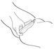 Вибратор Shunga Aiko Intimate, 10,8 см (фуксия) 30384 фото 6