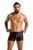 Мужские шорты Passion Free Your Senses Short Matt 049, L/XL (черный) 32068 фото