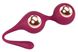 Вагинальные шарики Sweet Smile Kegel Training Balls With Extra Weights, 18,3 см (бордовый) 23249 фото 1