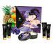 Набор для массажа Shunga Geisha's Secret Kit Exotic Fruits, 5 предметов 45042_EU фото 2