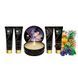 Набор для массажа Shunga Geisha's Secret Kit Exotic Fruits, 5 предметов 45042_EU фото 11