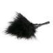 Перо Easy Toys Feather Tickler (черный) 86634 фото 2