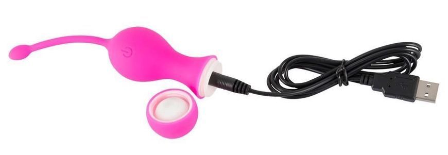 Вагинальные шарики Sweet Smile RC Love Balls, 16,4 см (розовый) 15146 фото