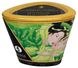 Массажная свеча Shunga Massage Candle зеленый чай, 170 мл 15150 фото 3